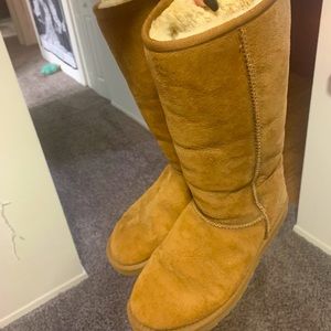 Tall Chestnut Uggs